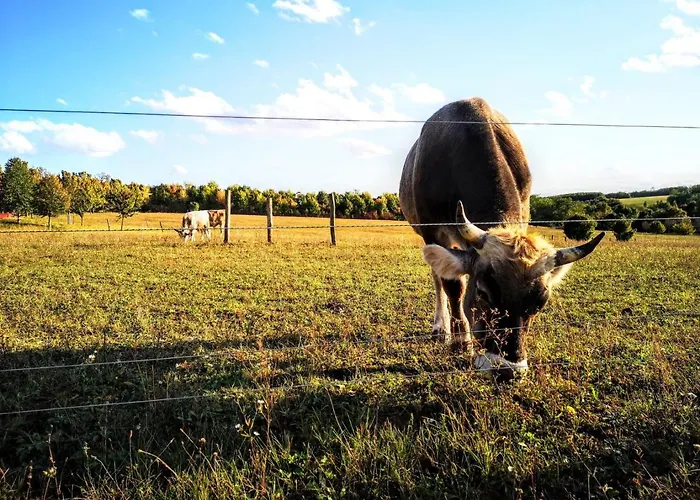 Kamala Kutir 게스트하우스 *