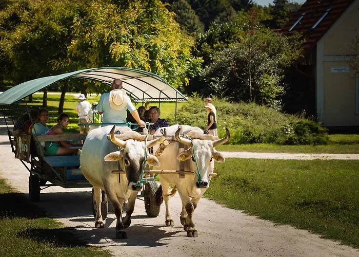 게스트하우스 Kamala Kutir